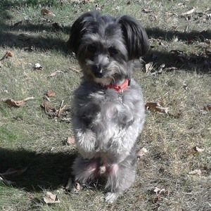 Meet your Posher, Michelle